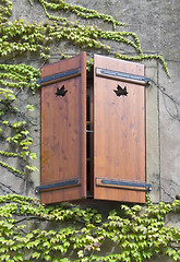 Image showing wooden window shutter