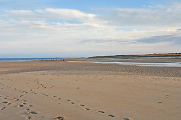 Image showing Crane Beach panoramic view
