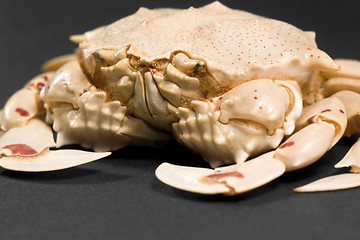 Image showing low angle moon crab detail