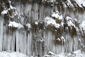 Image showing lots of icicles