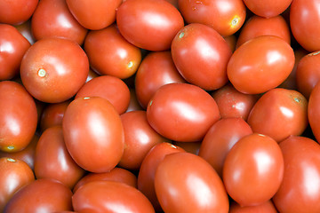 Image showing lots of fresh red tomatoes