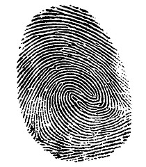 Image showing perfect thumb fingerprint