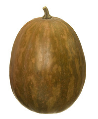 Image showing butternut pumpkin