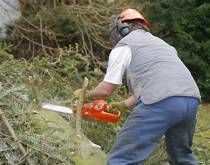 Image showing lumberman at work