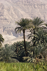 Image showing egyptian landscape between Aswan and Luxor