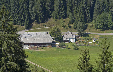 Image showing Black Forest scenery at summer time