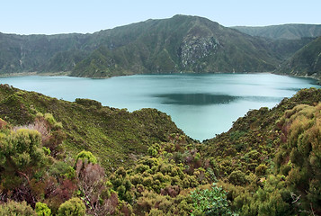 Image showing overgrown lakeside scenery at the Azores