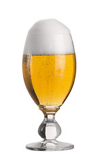 Image showing perfect glass of pils beer