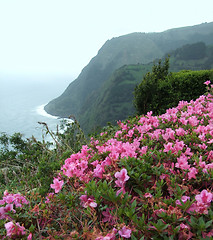 Image showing Azores coastal scenery