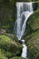 Image showing idyllic Triberg Waterfalls