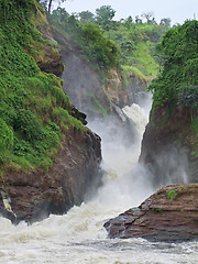 Image showing Murchison Falls