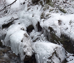 Image showing winter detail