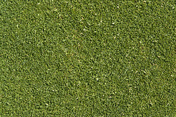 Image showing abstract golf green background