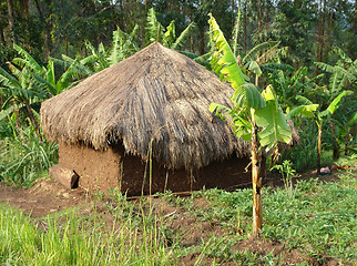 Image showing small shack near Rwenzori Mountains