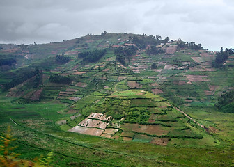 Image showing Virunga Mountains aerial view