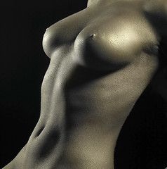 Image showing golden female body detail