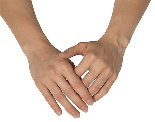 Image showing two feminine hands
