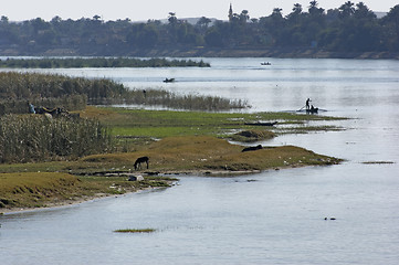 Image showing River Nile scenery between Aswan and Luxor