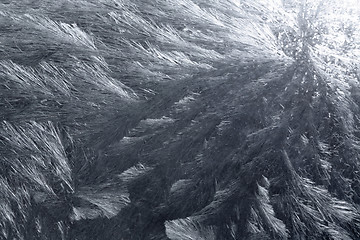 Image showing abstract ice background