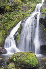 Image showing idyllic Triberg Waterfalls