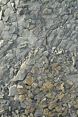 Image showing brittle stone detail