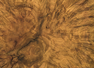 Image showing brown burl wood detail