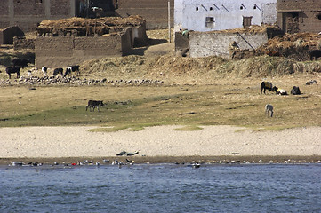 Image showing rural scenery at River Nile