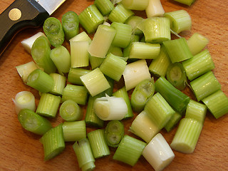 Image showing Chopped Spring Onions
