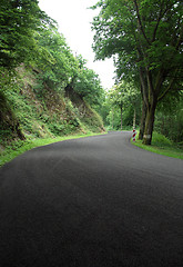 Image showing Ardennes road at summer time