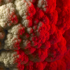 Image showing red illuminated cauliflower