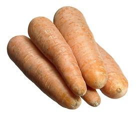 Image showing carrots in white back