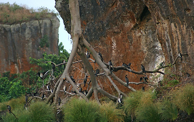 Image showing around Lake Victoria near Entebbe