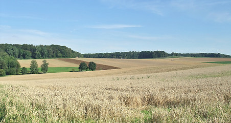 Image showing rural scenery in Hohenlohe