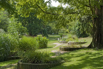 Image showing sunny park at summer time