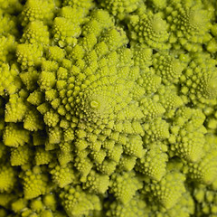 Image showing abstract romanesco cauliflower