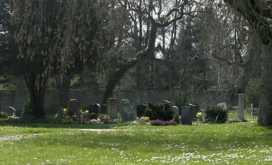 Image showing sunny graveyard detail