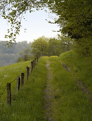 Image showing overgrown field path