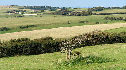 Image showing Beachy Head near Newhaven