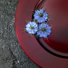 Image showing red plate and blue flowers