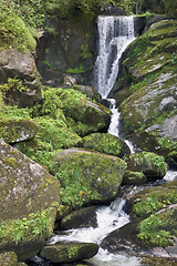 Image showing idyllic Triberg Waterfalls