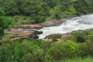 Image showing whitewater at Murchison Falls in Africa