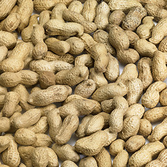 Image showing unpeeled peanuts