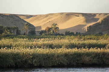 Image showing River Nile scenery at evening time