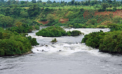 Image showing River Nile scenery near Jinja