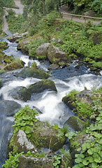 Image showing idyllic Triberg Waterfalls