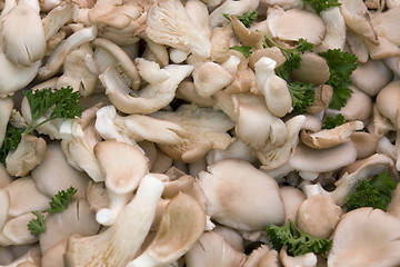 Image showing background with mushrooms and parsley