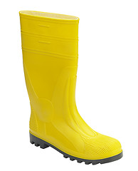 Image showing yellow gumboot