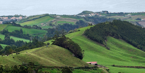 Image showing coastal scenery at the Azores