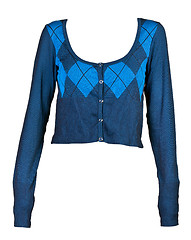 Image showing women's blue plaid blouse pattern