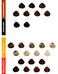 Image showing Professional palette of hair colors for color selection